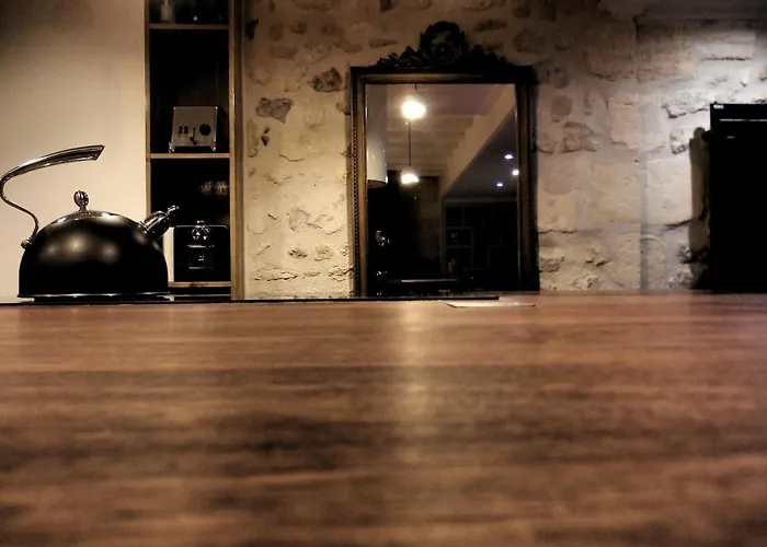 Amazing T3 Downtown Parking Free Lejlighed Bordeaux